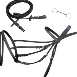 Hoofdstel leer met gecombineerde neusriem, teugels en bit full>vidaXL Clearance
