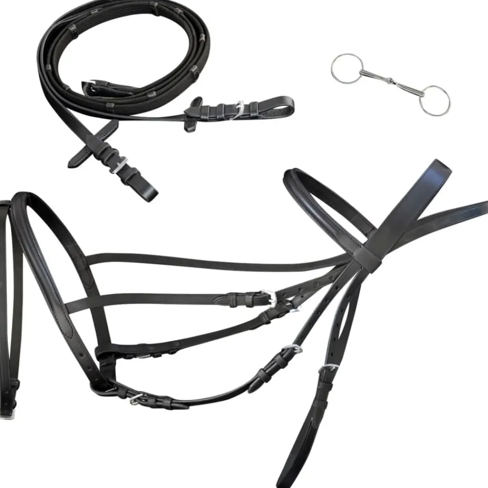 Hoofdstel leer met gecombineerde neusriem, teugels en bit full>vidaXL Clearance