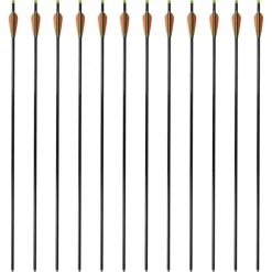 Pijlen compoundboog standaard 30" 0,8 cm glasvezel 12 stuks>vidaXL Discount
