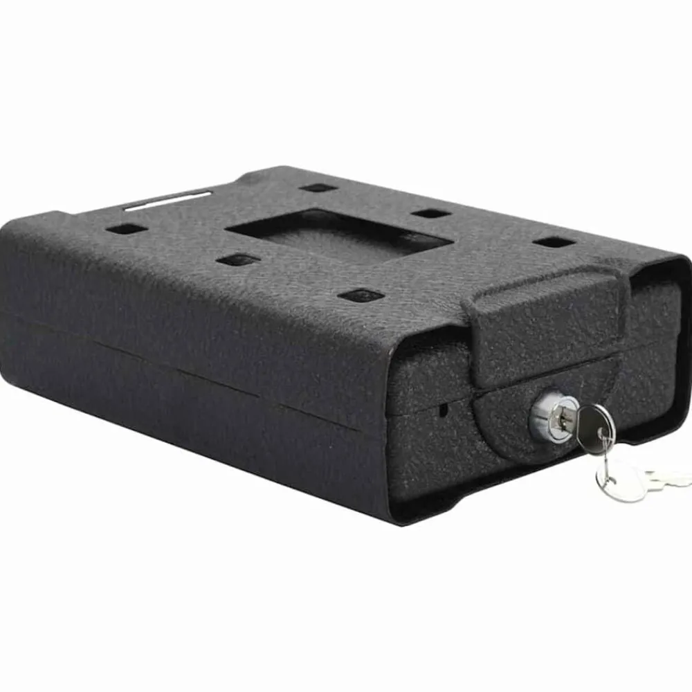 Bedrijfs- & Woonhuisbeveiliging*vidaXL Auto Safe met slot Zwart 22 x 16 x 7 cm Staal