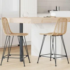 Barkruk 2 pcs 44,5 x 54,5 x 97,5 cm Riet en IJzer>vidaXL Discount