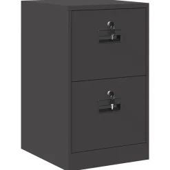 Kasten & Opbergmeubelen*vidaXL Bestandenkast 44 x 50 x 74,5 cm Koudgewalst Staal Zwart