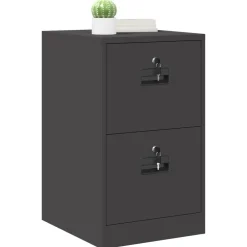 Kasten & Opbergmeubelen*vidaXL Bestandenkast 44 x 50 x 74,5 cm Koudgewalst Staal Zwart