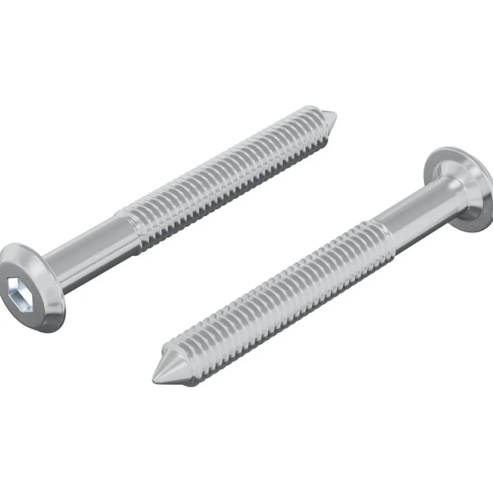 Bouwbeslag*vidaXL Bout 2 pcs Zilver M6 x 50 mm Staal