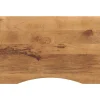 Bureaublad met ronding 100x60x2,5 cm massief ruw mangohout>vidaXL Best