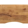 Bureaublad met ronding 100x50x2,5 cm massief ruw mangohout>vidaXL