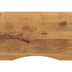 Bureaublad met ronding 100x50x2,5 cm massief ruw mangohout>vidaXL