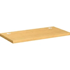 Accessoires Voor Kantoormeubilair*vidaXL Bureaublad 100x50x4 cm bamboe