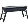 Campingbarbecue draagbaar 60x22,5x33 cm roestvrij>vidaXL Sale