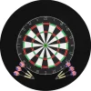 Dartbord professioneel met 6 darts en surround sisal>vidaXL