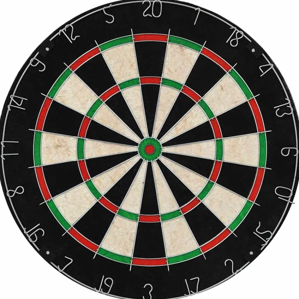 Dartbord professioneel met kast en 6 darts sisal>vidaXL New