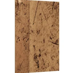 Kunst & Entertainment*vidaXL Decorpanelen 12 pcs Oudhout 30 x 42 x 0.27 cm Bewerkt hout Oud hout