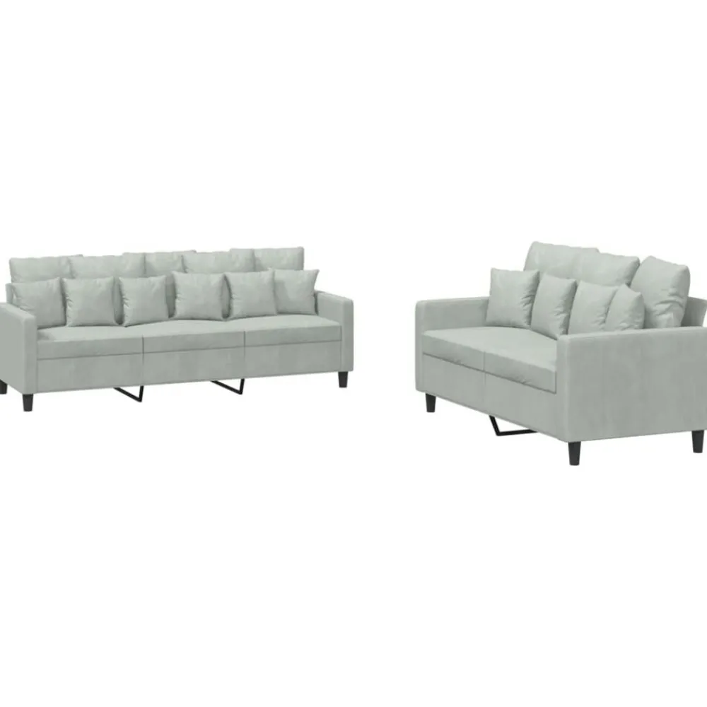 Banken*vidaXL 2-delige Loungeset met kussens fluweel Lichtgrijs