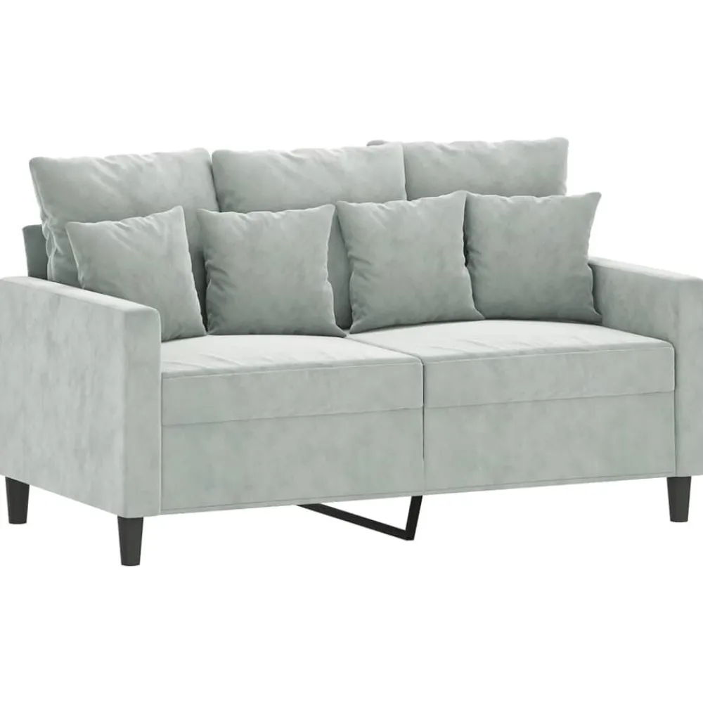 Banken*vidaXL 2-delige Loungeset met kussens fluweel Lichtgrijs