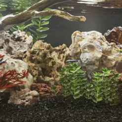 Drakenstenen gemende kleur 10 kg 10-30 cm>vidaXL