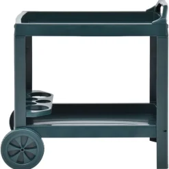 Dranktrolley 69x53x72 cm kunststof>vidaXL Online