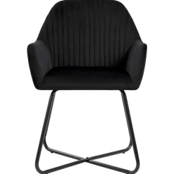 Stoelen*vidaXL Eetkamerstoelen 2 st fluweel Zwart