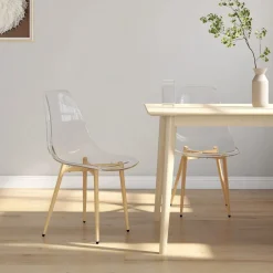 Stoelen*vidaXL Eetkamerstoelen 2 st PET transparant
