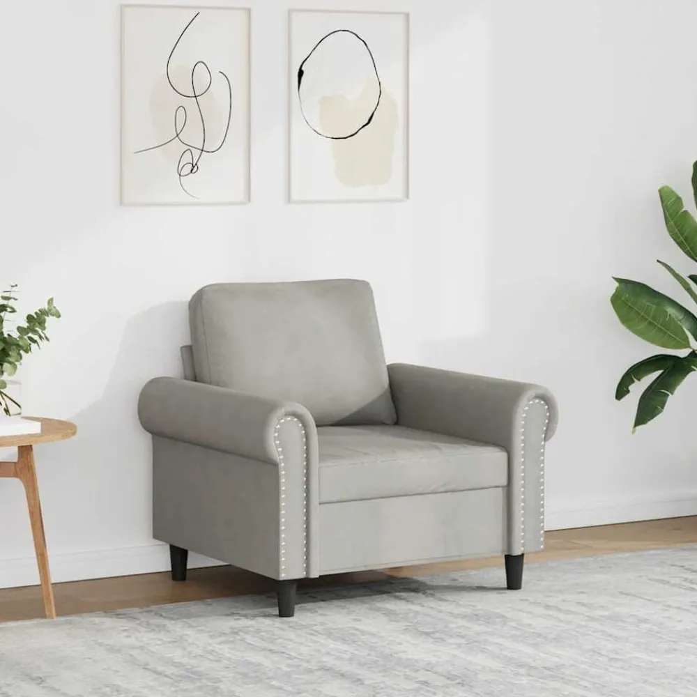Banken*vidaXL Fauteuil 60 cm fluweel Lichtgrijs