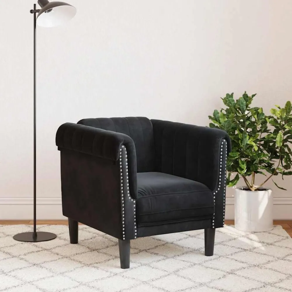 Banken*vidaXL Fauteuil fluweel Zwart