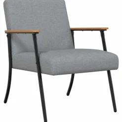 Stoelen*vidaXL Fauteuil Stof Lichtgrijs