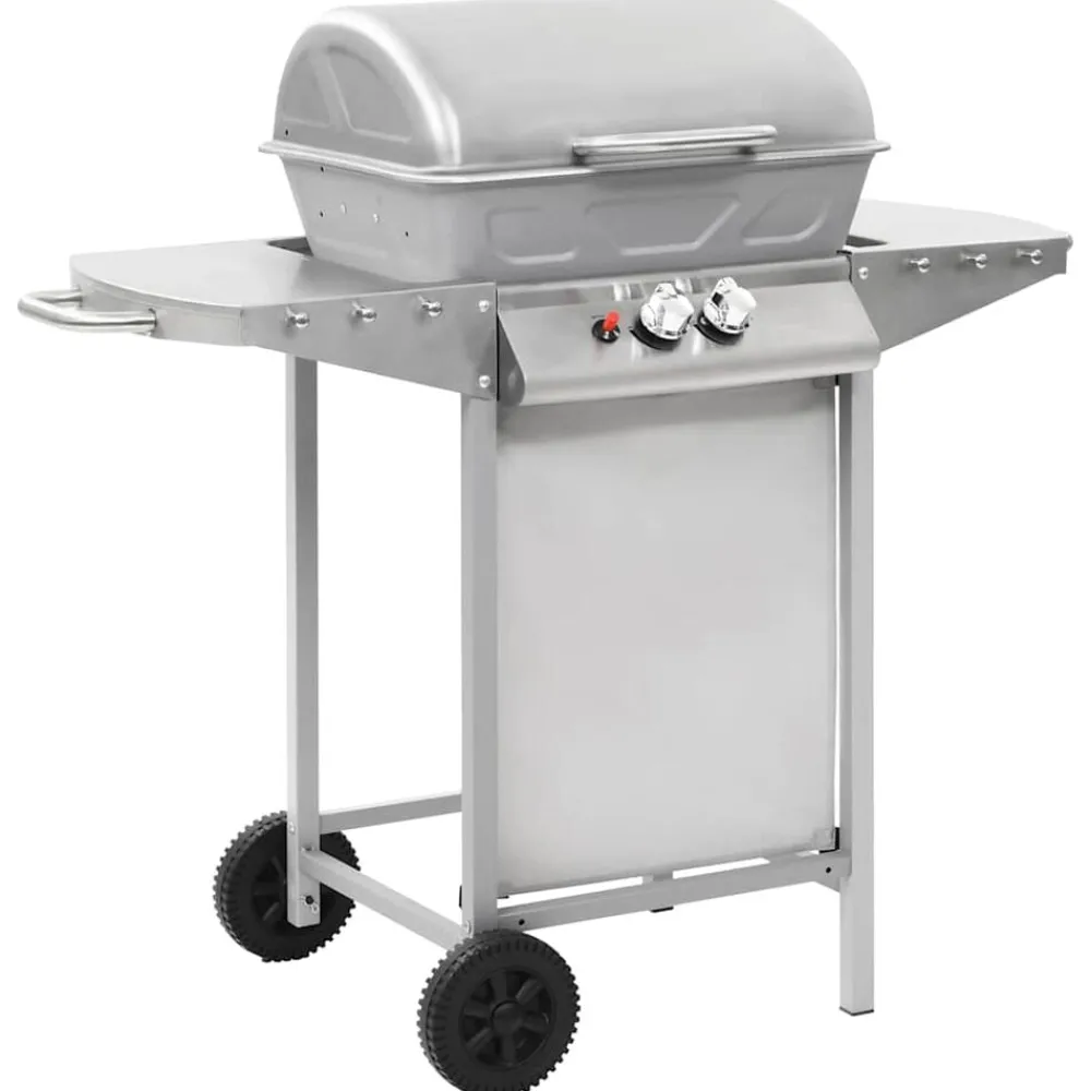 Keuken & Eetkamer*vidaXL Gasbarbecue en grill met 2 kookzones roestvrij staal zilver