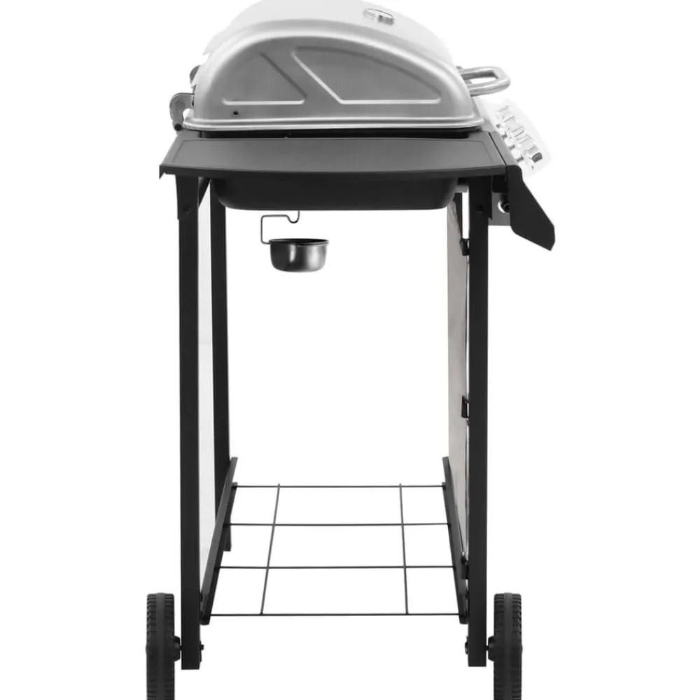 Gasbarbecue met 4 branders kleurig>vidaXL Clearance