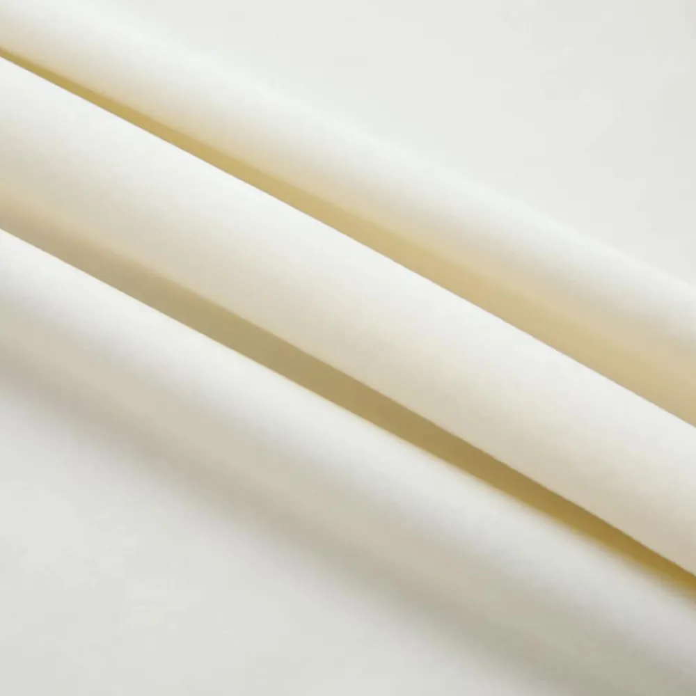 Woon- & Tuinaccessoires*vidaXL Gordijn verduisterend met haken 290x245 cm fluweel crème Crème