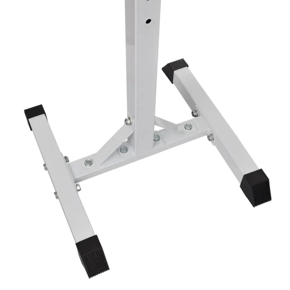 Halter- en gewichtenstandaard>vidaXL Hot