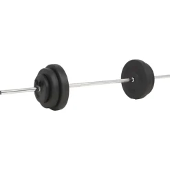 Fitness*vidaXL Halter met gewichten 60 kg