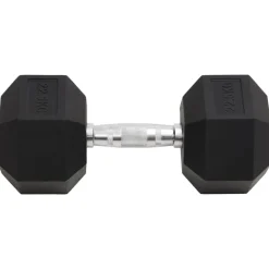 Halters 22,5 kg gietijzer>vidaXL New