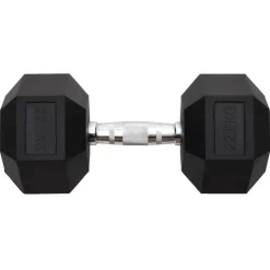 Halters 22,5 kg gietijzer><noscript><img width=