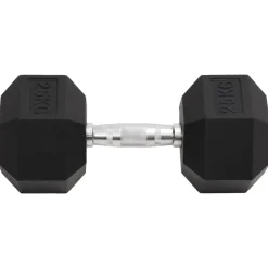 Fitness*vidaXL Halters 25 kg gietijzer