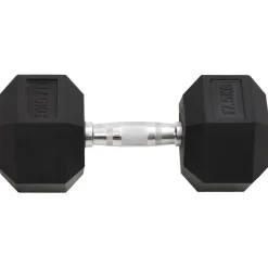 Halters 17,5 kg gietijzer><noscript><img width=