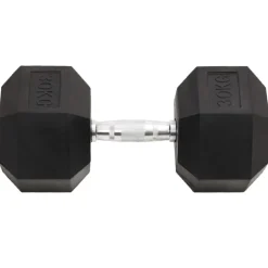 Fitness*vidaXL Halters 30 kg gietijzer