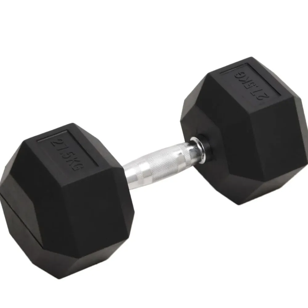 Halters 27,5 kg gietijzer>vidaXL Hot