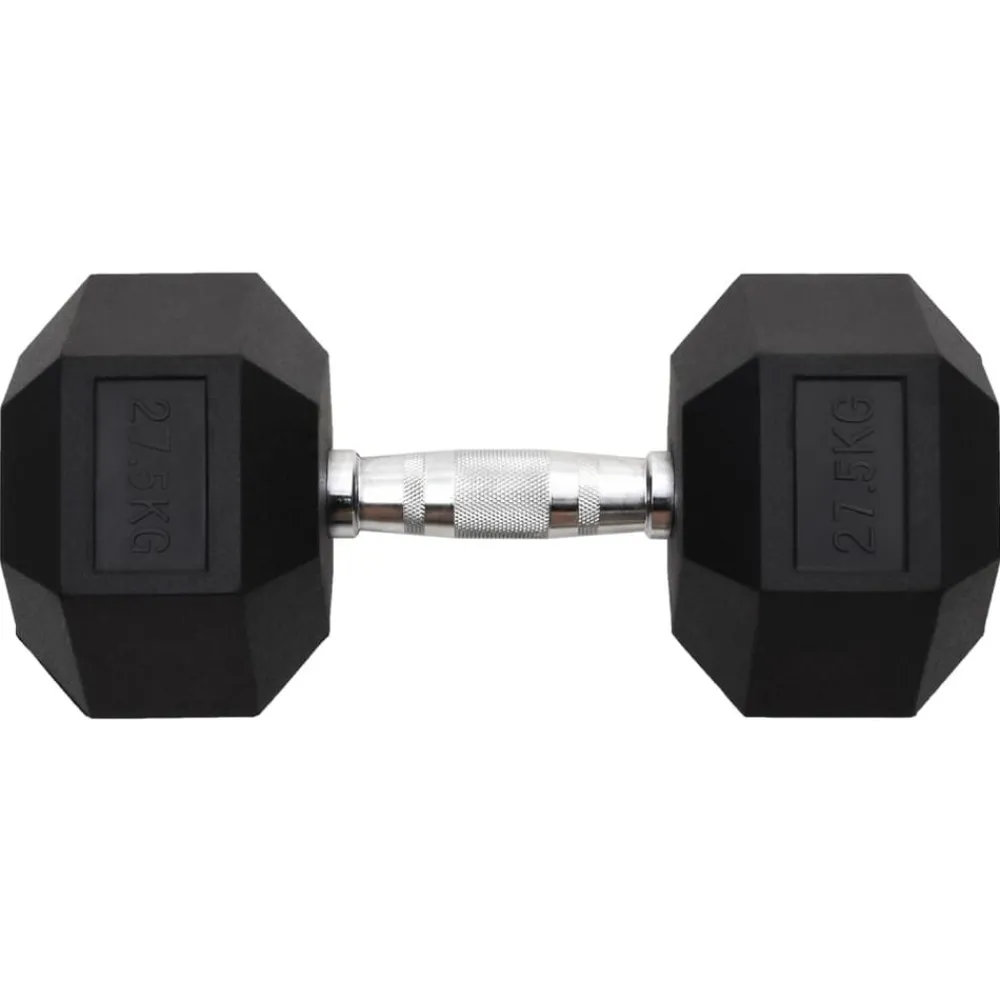 Halters 27,5 kg gietijzer>vidaXL Hot