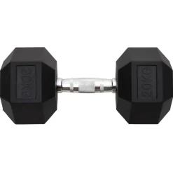 Halters 20 kg gietijzer><noscript><img width=