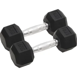 Fitness*vidaXL Halters 2 st 12 kg totaal gietijzer