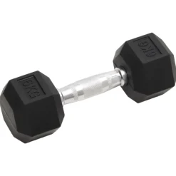 Fitness*vidaXL Halters 2 st 12 kg totaal gietijzer