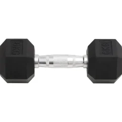 Fitness*vidaXL Halters 2 st 12 kg totaal gietijzer