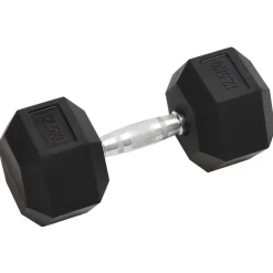 Fitness*vidaXL Halters 2 st 25 kg totaal gietijzer