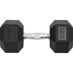 Fitness*vidaXL Halters 2 st 25 kg totaal gietijzer