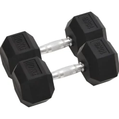 Fitness*vidaXL Halters 2 st 20 kg totaal gietijzer