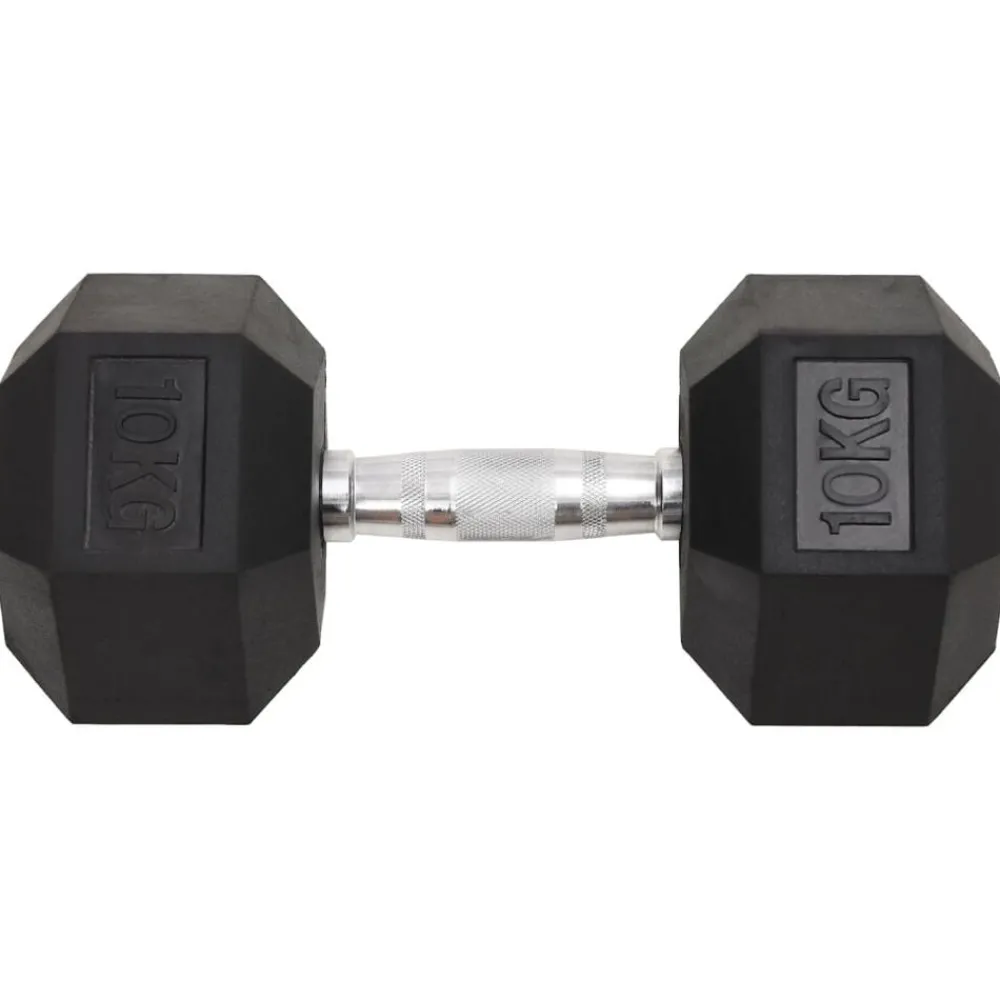 Fitness*vidaXL Halters 2 st 20 kg totaal gietijzer