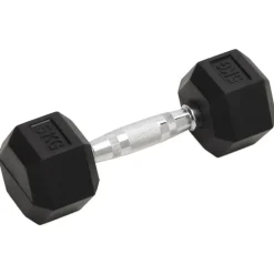 Fitness*vidaXL Halters 2 st 10 kg totaal gietijzer
