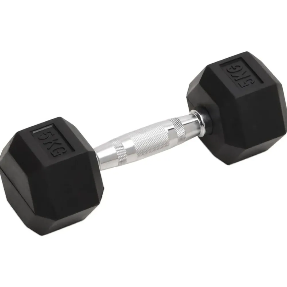 Fitness*vidaXL Halters 2 st 10 kg totaal gietijzer