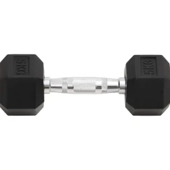 Fitness*vidaXL Halters 2 st 10 kg totaal gietijzer