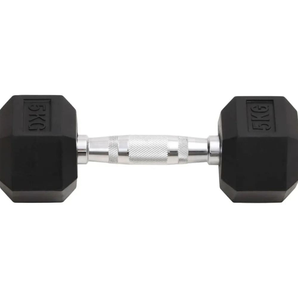 Fitness*vidaXL Halters 2 st 10 kg totaal gietijzer