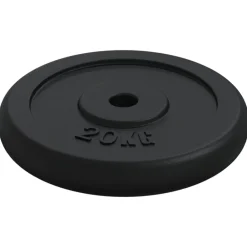 Fitness*vidaXL Halterschijf 40 kg gietijzer